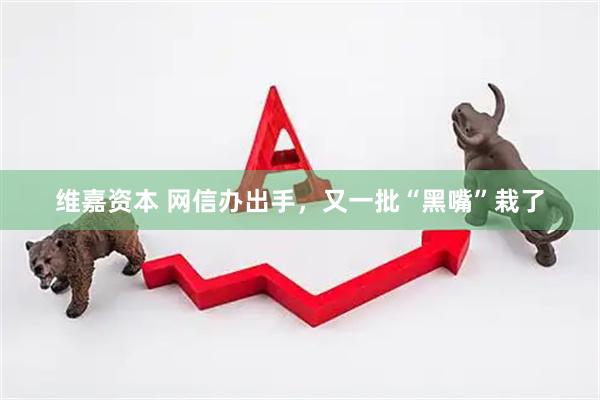 维嘉资本 网信办出手，又一批“黑嘴”栽了