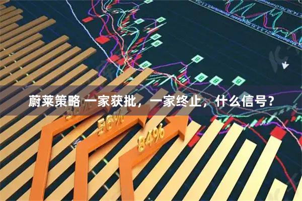 蔚莱策略 一家获批，一家终止，什么信号？