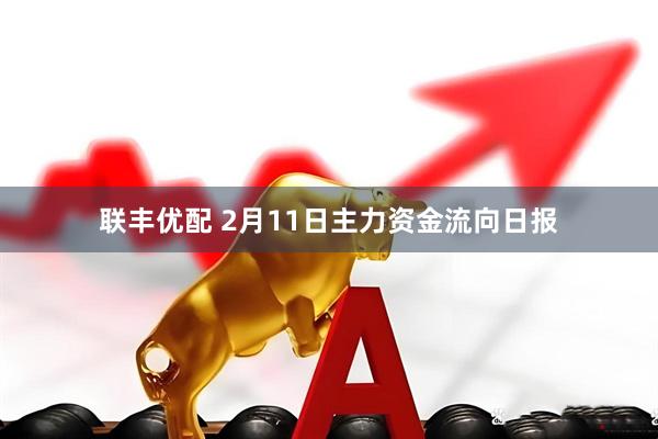 联丰优配 2月11日主力资金流向日报