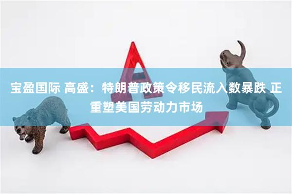宝盈国际 高盛：特朗普政策令移民流入数暴跌 正重塑美国劳动力市场