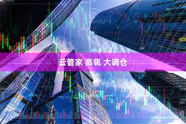 云管家 高瓴 大调仓
