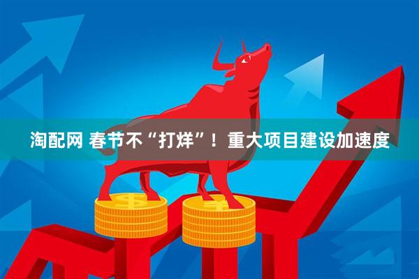淘配网 春节不“打烊”！重大项目建设加速度